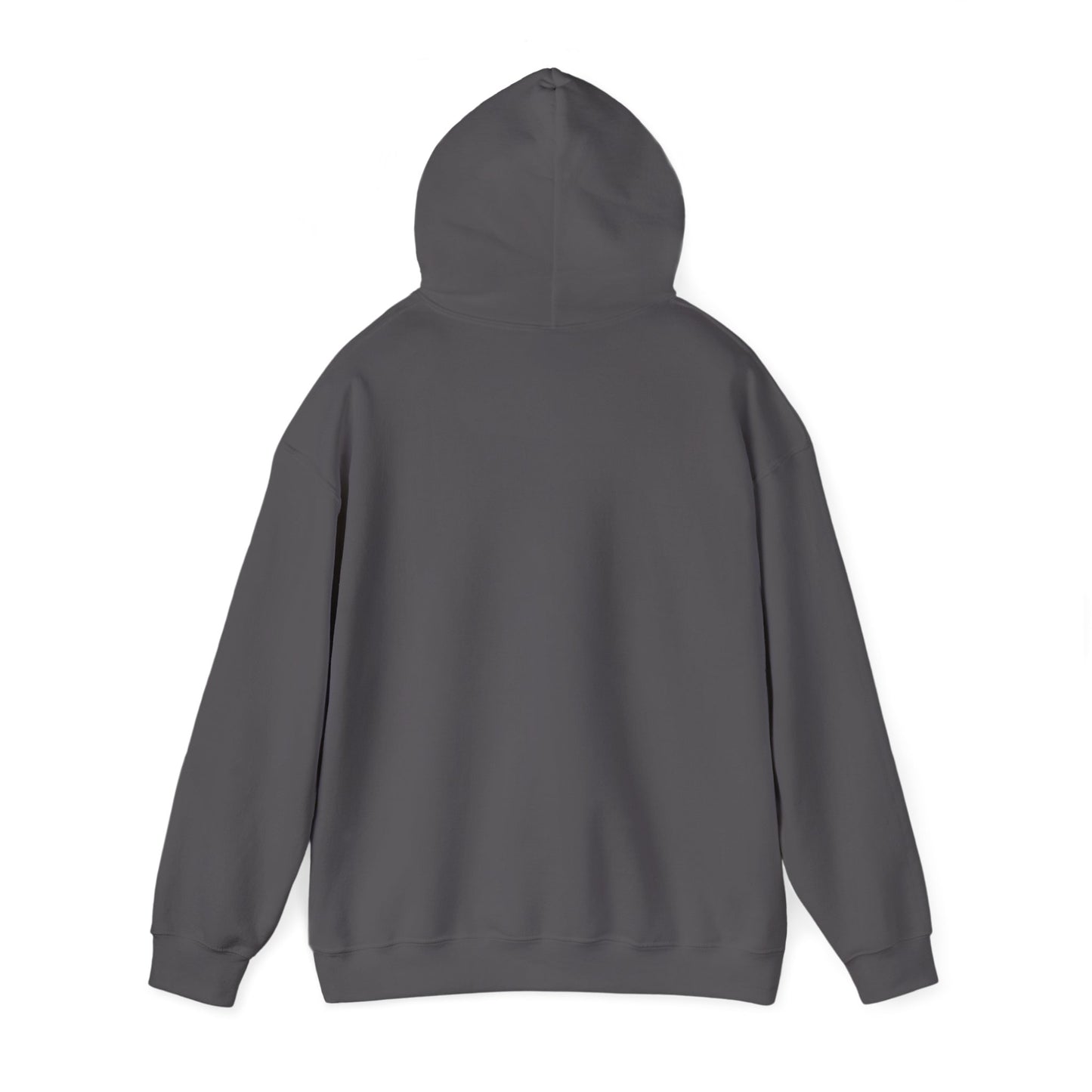 Shhh... No One Cares Hoodie, Funny Sweatshirt, Womens Pullover, Casual Wear, Gift for Friends, Cozy Outfit
