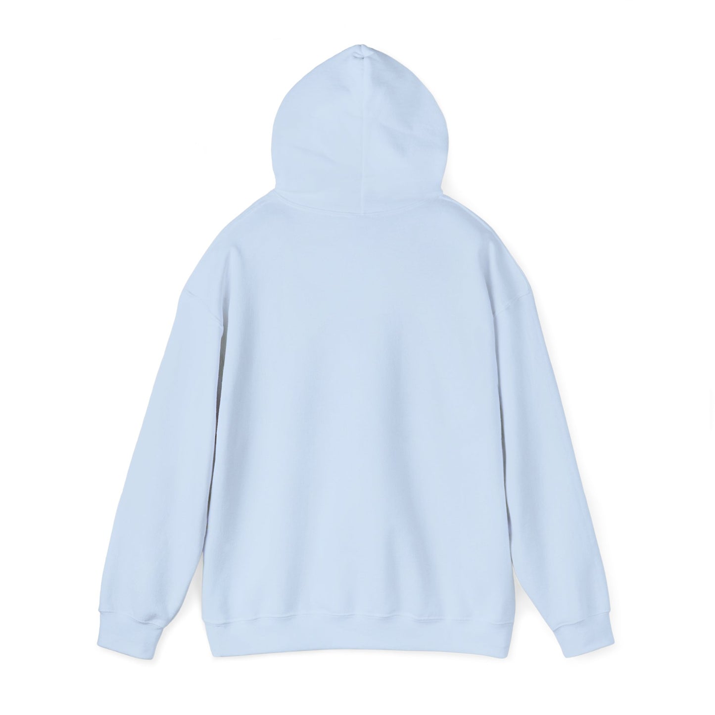 Womens Perfectionist Hoodie, Minimalist No Flaws Sweatshirt, Empowered Clean Look Pullover, Gift for Organized Women