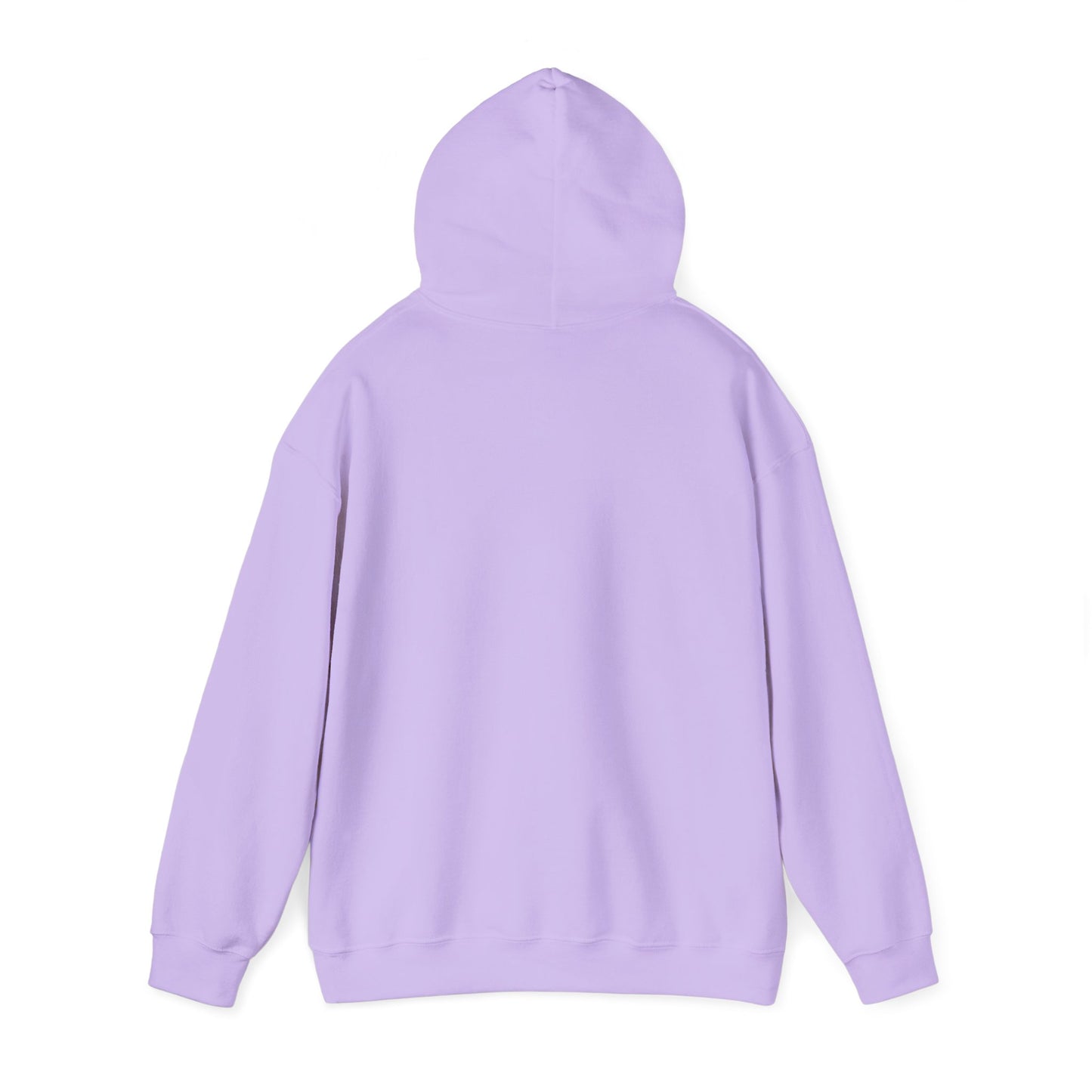 Womens Perfectionist Hoodie, Minimalist No Flaws Sweatshirt, Empowered Clean Look Pullover, Gift for Organized Women