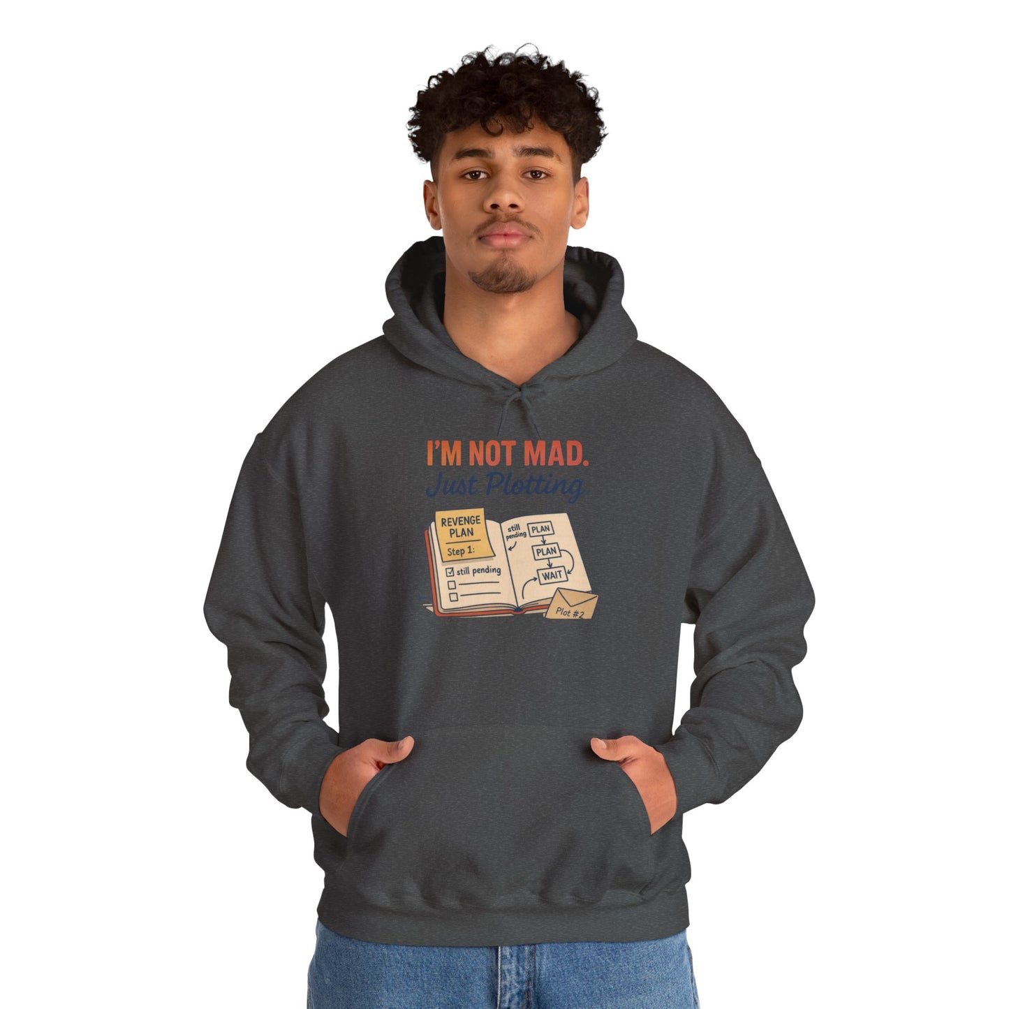 Funny Revenge Hoodie for Men, I'm Not Mad Just Plotting, Passive Aggressive Humor Sweatshirt, Funny Planning Hoodie