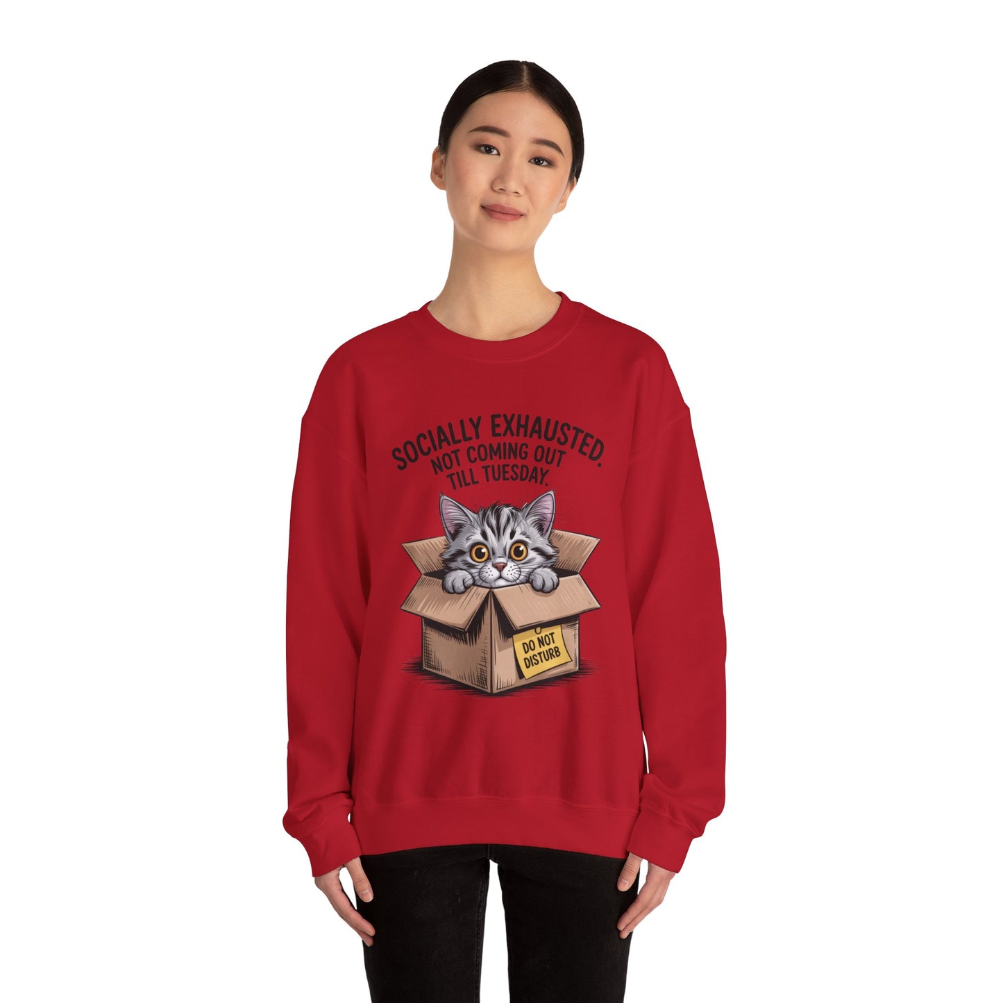 Socially Exhausted Cat Sweatshirt, Funny Cat Crewneck, Gift for Cat Lovers, Cozy Unisex Pullover, Weekend Comfort Apparel