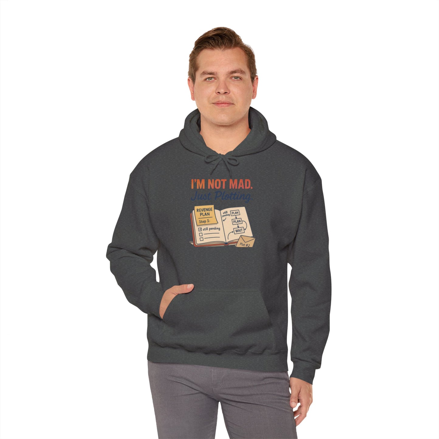 Funny Revenge Hoodie for Men, I'm Not Mad Just Plotting, Passive Aggressive Humor Sweatshirt, Funny Planning Hoodie