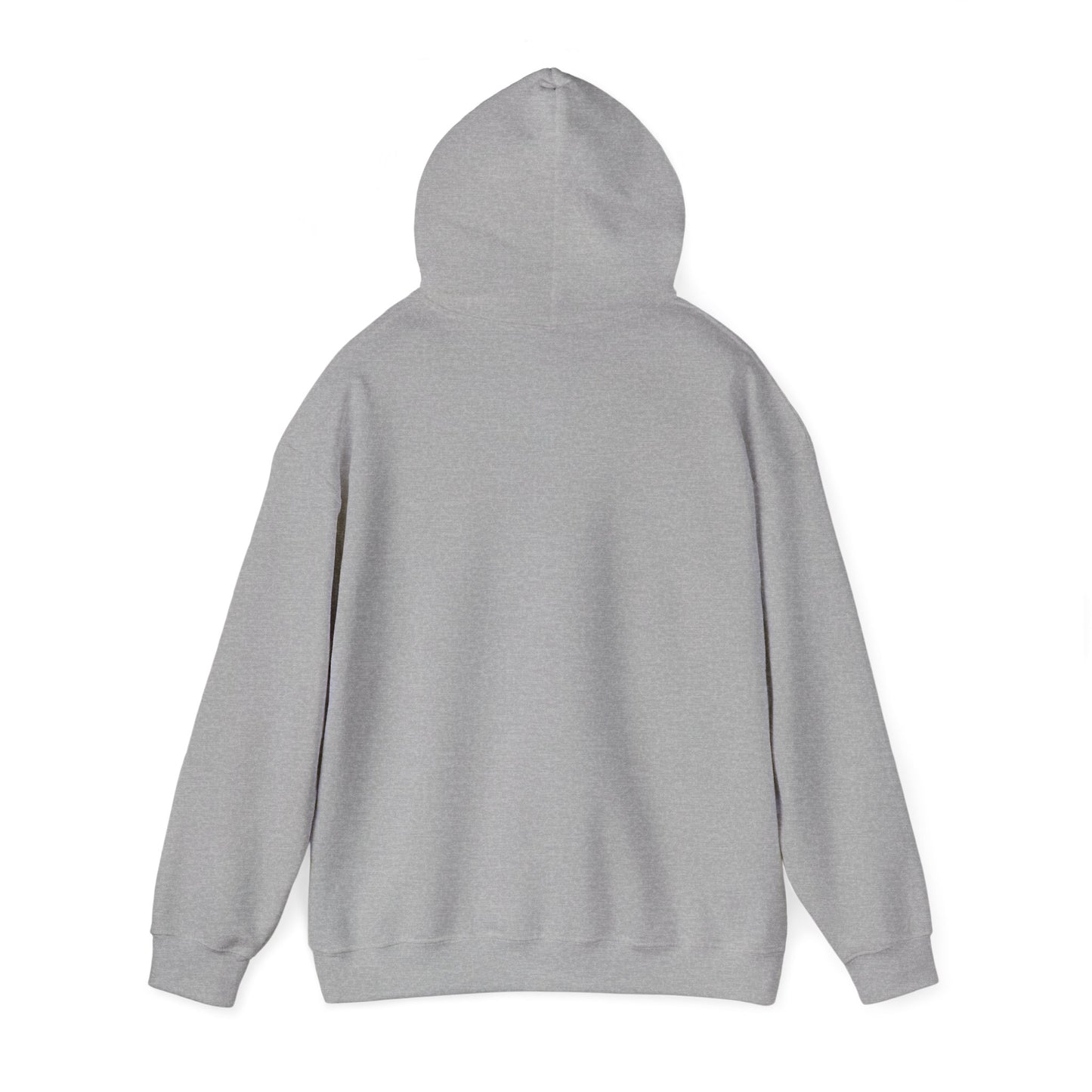 Mens Perfectionist Hoodie, No Flaws No Compromise Sweatshirt, Clean Bold Motivational Pullover, OCD Inspired Gift for Him