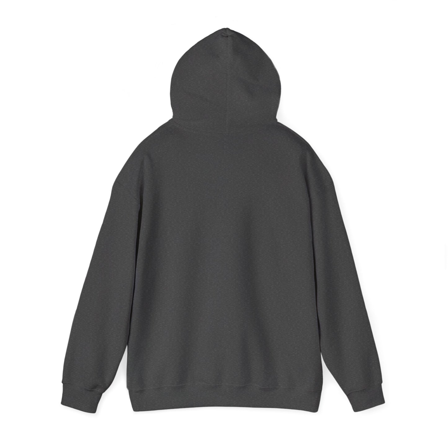 Shhh... No One Cares Hoodie, Funny Sweatshirt, Womens Pullover, Casual Wear, Gift for Friends, Cozy Outfit