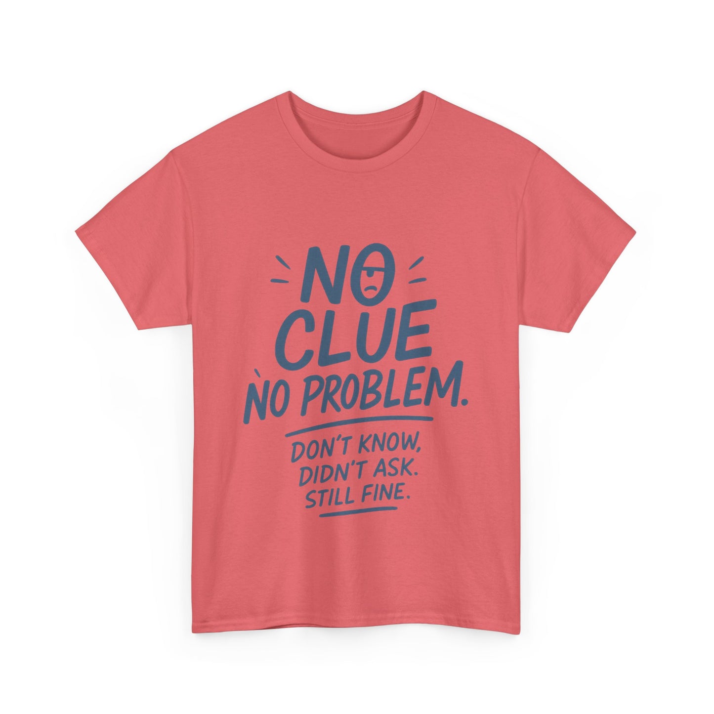 Funny No Clue Womens T-Shirt, No Problem Quote Shirt, Dont Know Didnt Ask Graphic Tee, Relaxed Fit Gift for Her, Humorous Tee