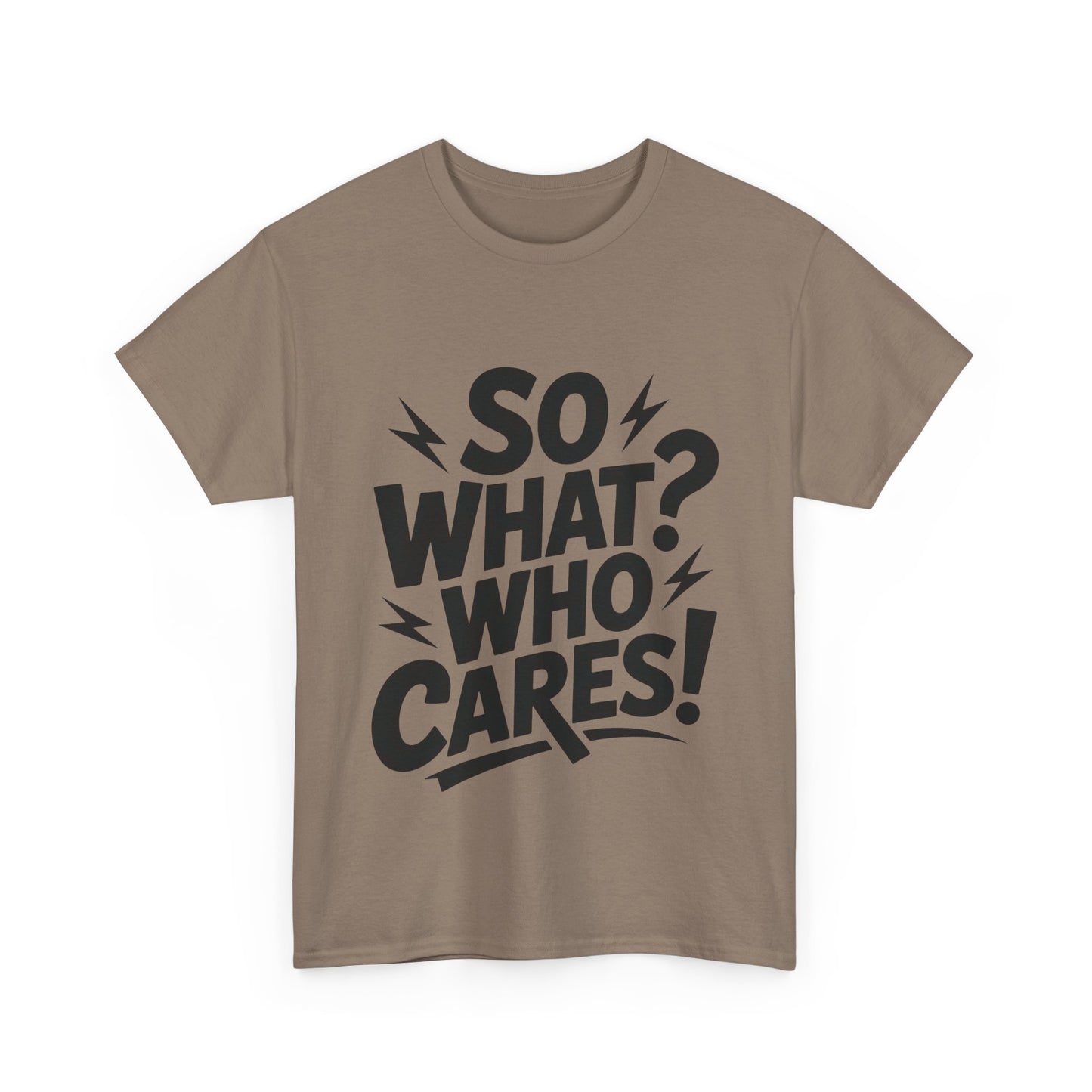Mens Graphic T-Shirt, Sarcastic Funny Shirt, Rebellious Urban Tee, Black Humor Shirt, So What? Who Cares! T-Shirt, Fun Statement Top