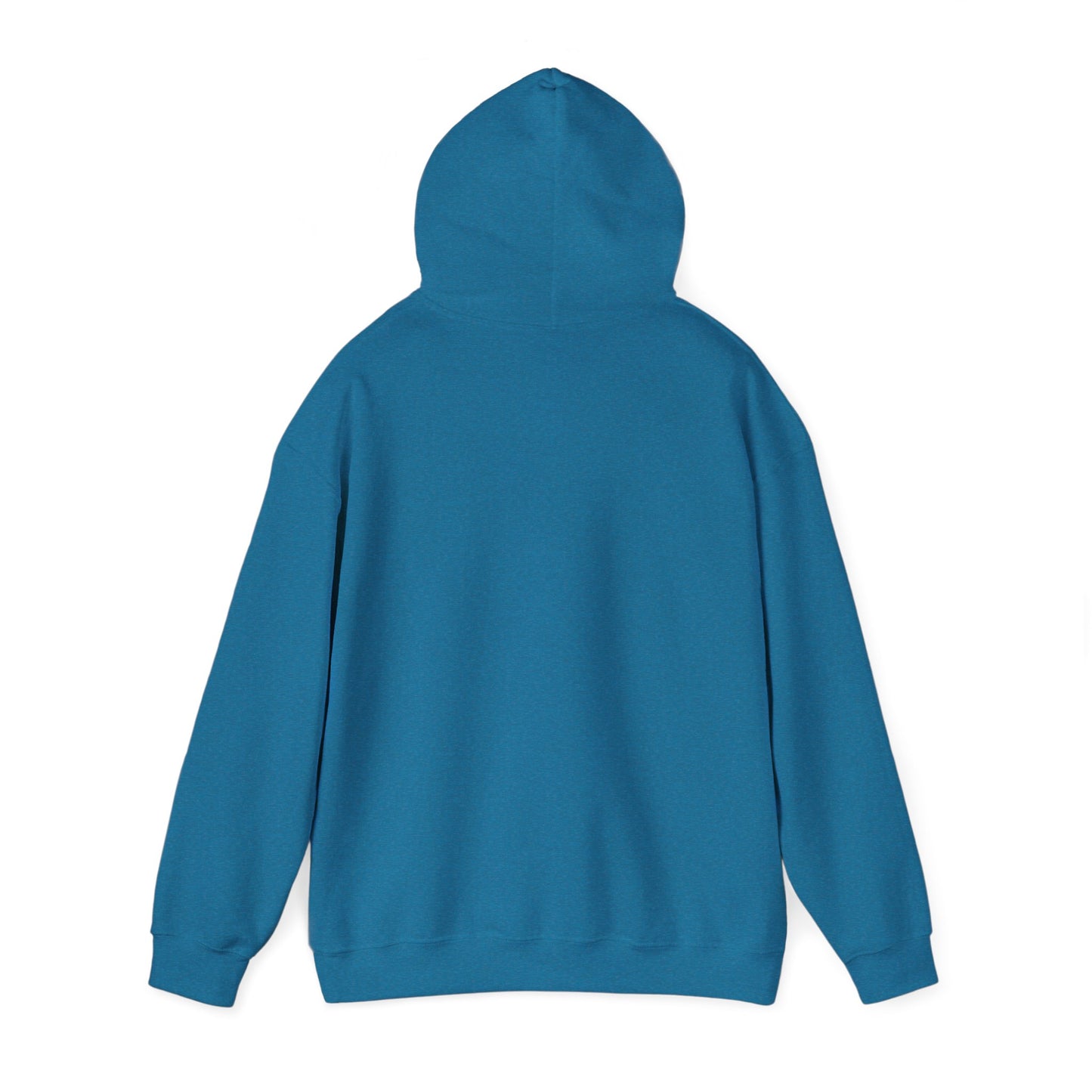 Shhh... No One Cares Hoodie, Funny Sweatshirt, Womens Pullover, Casual Wear, Gift for Friends, Cozy Outfit