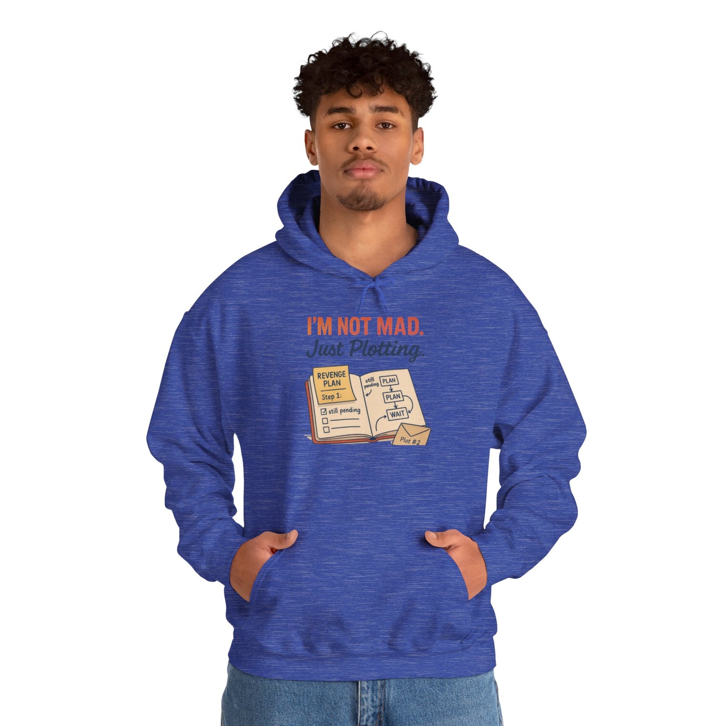 Funny Revenge Hoodie for Men, I'm Not Mad Just Plotting, Passive Aggressive Humor Sweatshirt, Funny Planning Hoodie