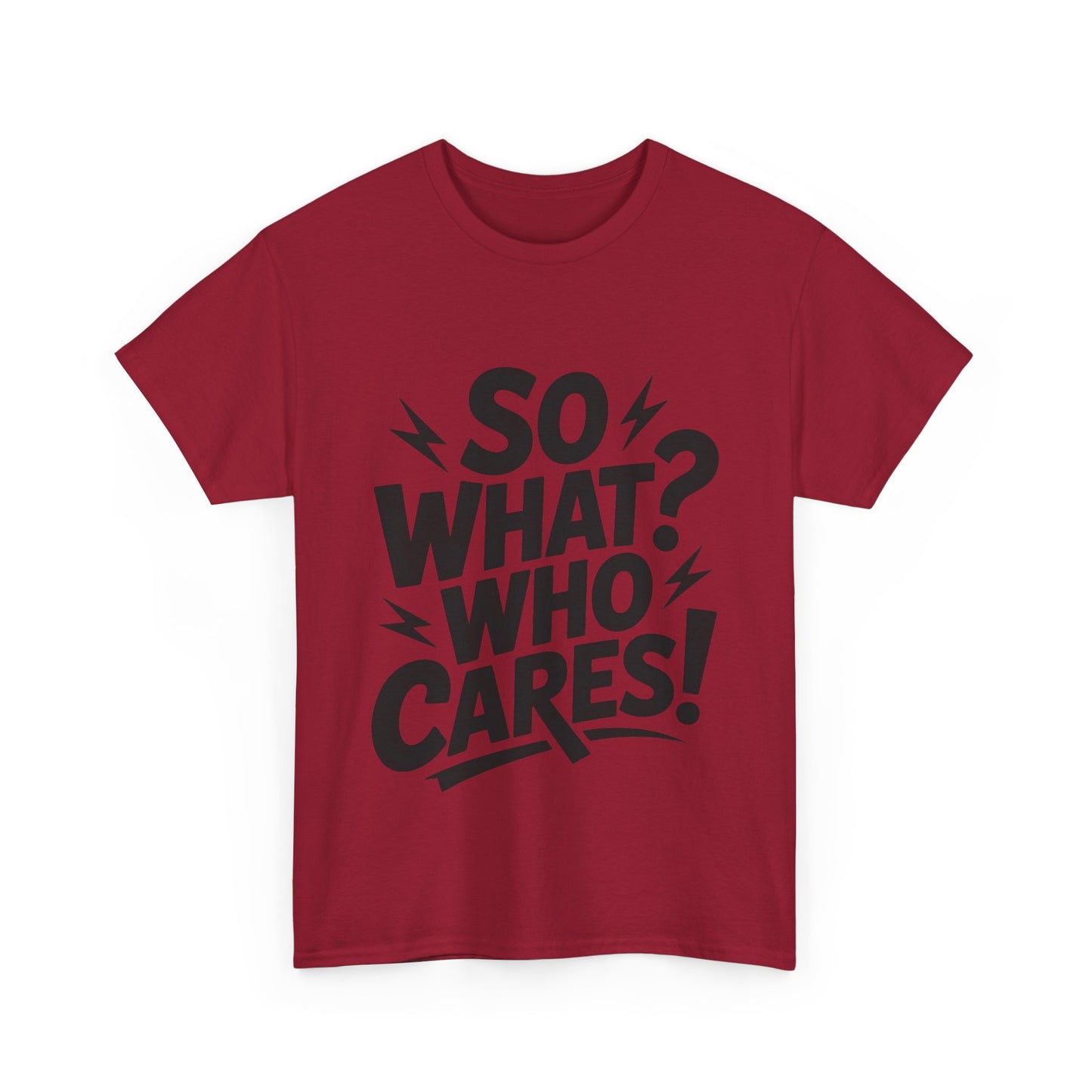 Mens Graphic T-Shirt, Sarcastic Funny Shirt, Rebellious Urban Tee, Black Humor Shirt, So What? Who Cares! T-Shirt, Fun Statement Top