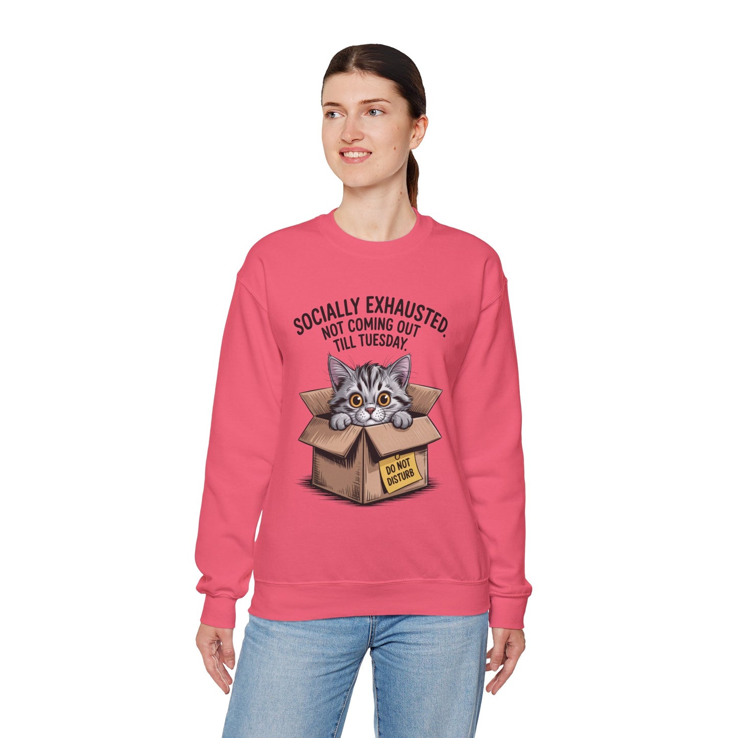 Socially Exhausted Cat Sweatshirt, Funny Cat Crewneck, Gift for Cat Lovers, Cozy Unisex Pullover, Weekend Comfort Apparel