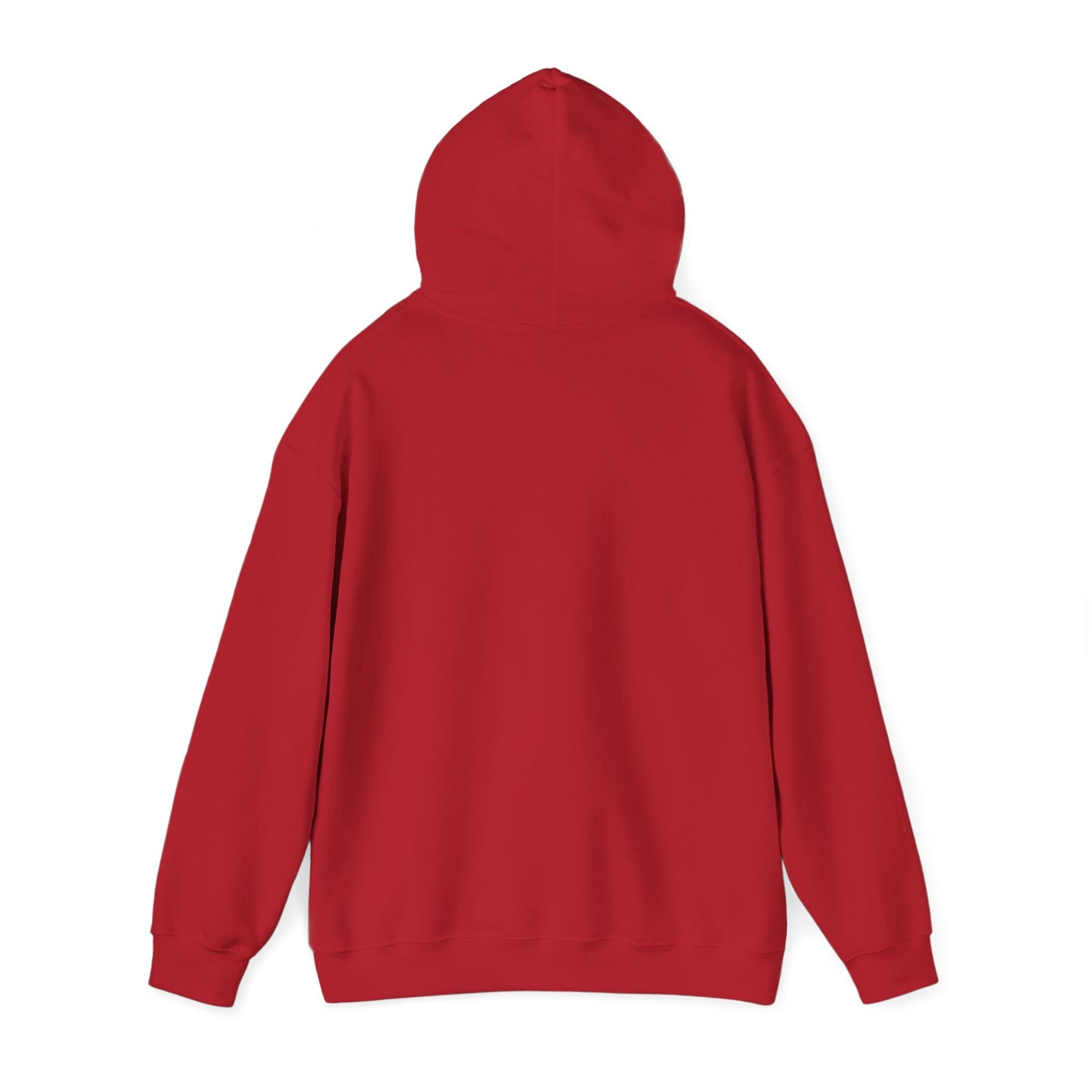 Shhh... No One Cares Hoodie, Funny Sweatshirt, Womens Pullover, Casual Wear, Gift for Friends, Cozy Outfit