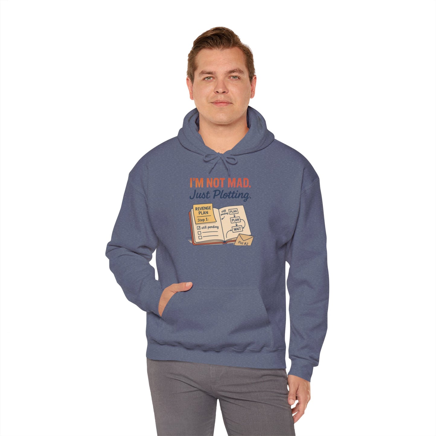 Funny Revenge Hoodie for Men, I'm Not Mad Just Plotting, Passive Aggressive Humor Sweatshirt, Funny Planning Hoodie