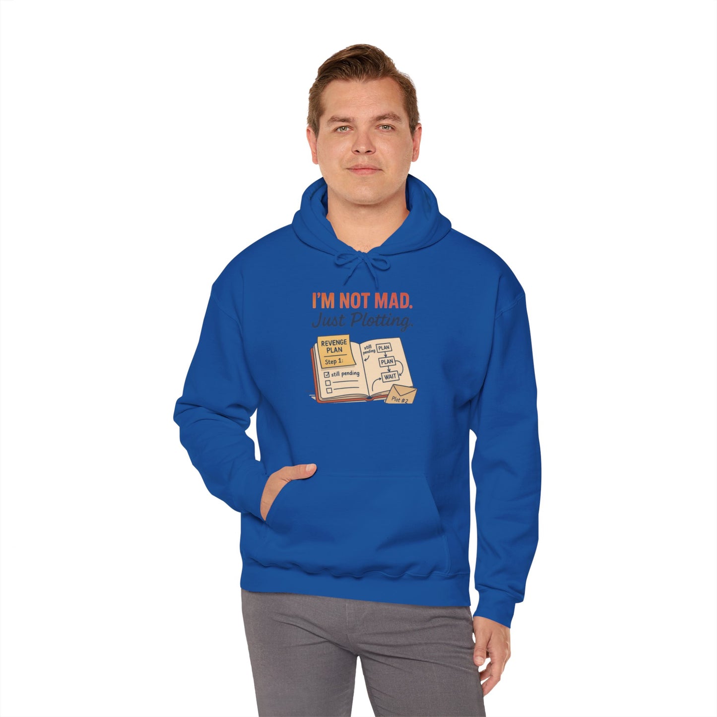 Funny Revenge Hoodie for Men, I'm Not Mad Just Plotting, Passive Aggressive Humor Sweatshirt, Funny Planning Hoodie