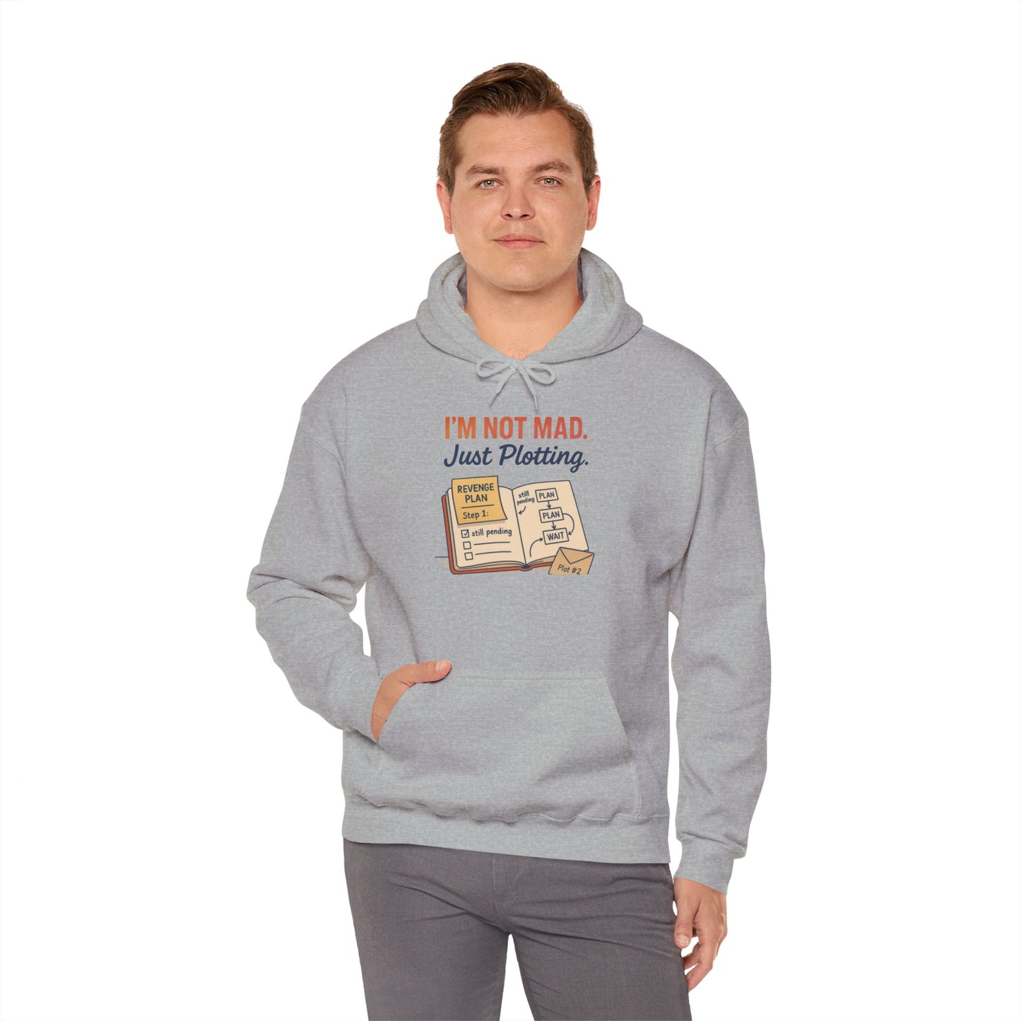 Funny Revenge Hoodie for Men, I'm Not Mad Just Plotting, Passive Aggressive Humor Sweatshirt, Funny Planning Hoodie