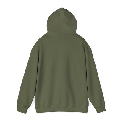 Mens Perfectionist Hoodie, No Flaws No Compromise Sweatshirt, Clean Bold Motivational Pullover, OCD Inspired Gift for Him