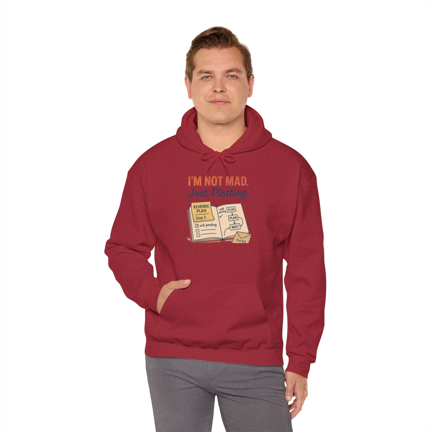 Funny Revenge Hoodie for Men, I'm Not Mad Just Plotting, Passive Aggressive Humor Sweatshirt, Funny Planning Hoodie