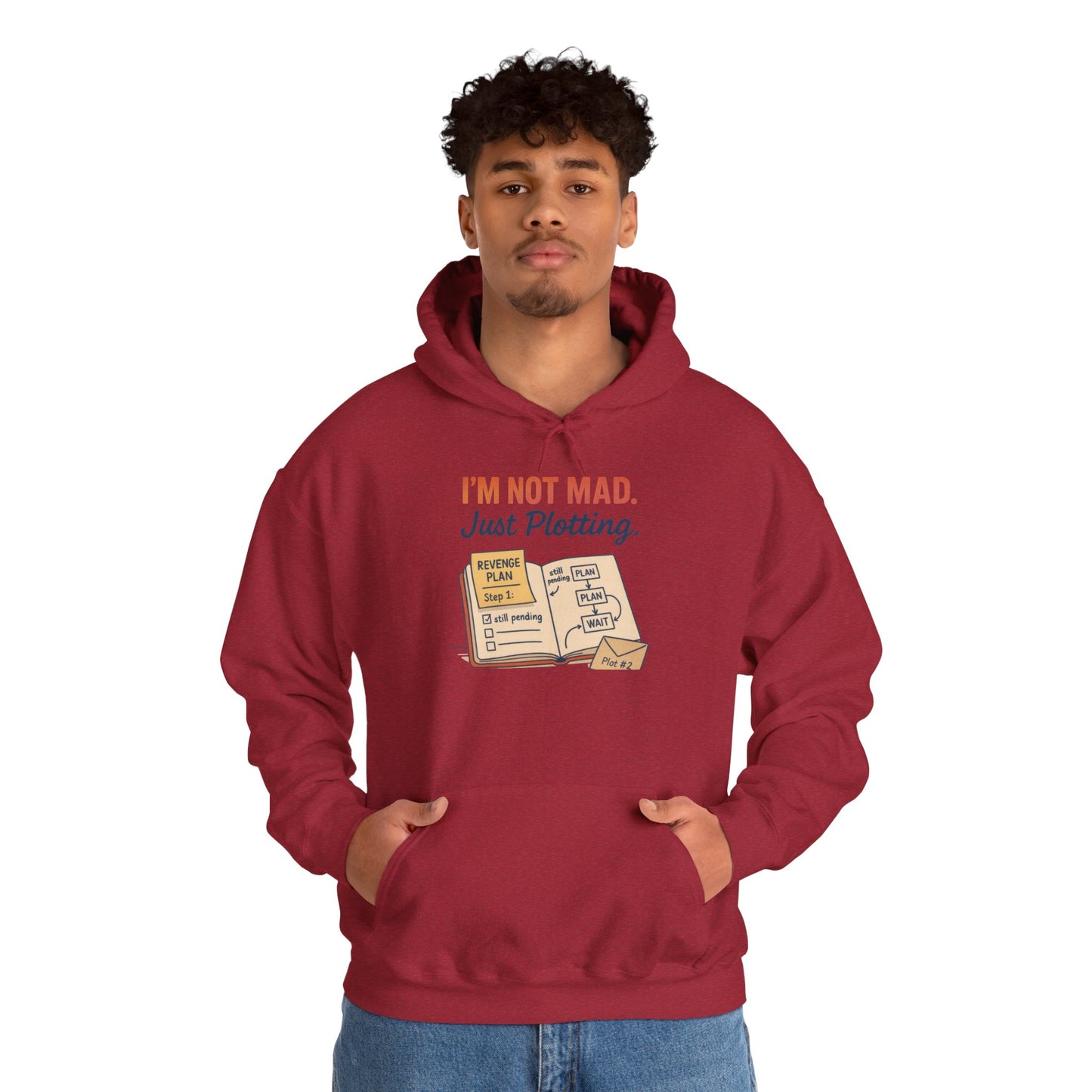 Funny Revenge Hoodie for Men, I'm Not Mad Just Plotting, Passive Aggressive Humor Sweatshirt, Funny Planning Hoodie