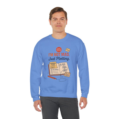 Funny Mens Revenge Sweatshirt, Im Not Mad Just Plotting, Passive Aggressive Sarcastic Crewneck for Him