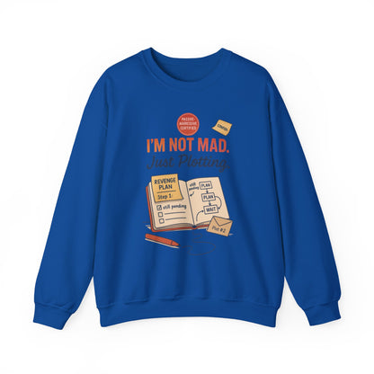 Funny Mens Revenge Sweatshirt, Im Not Mad Just Plotting, Passive Aggressive Sarcastic Crewneck for Him