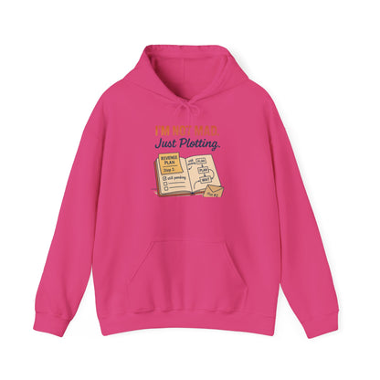 Sarcastic Womens Hoodie, Im Not Mad Just Plotting, Funny Passive Aggressive Sweatshirt Gift, Plotting Humor Hooded Womens Sweatshirt