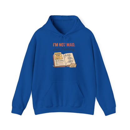 Funny Revenge Hoodie for Men, I'm Not Mad Just Plotting, Passive Aggressive Humor Sweatshirt, Funny Planning Hoodie