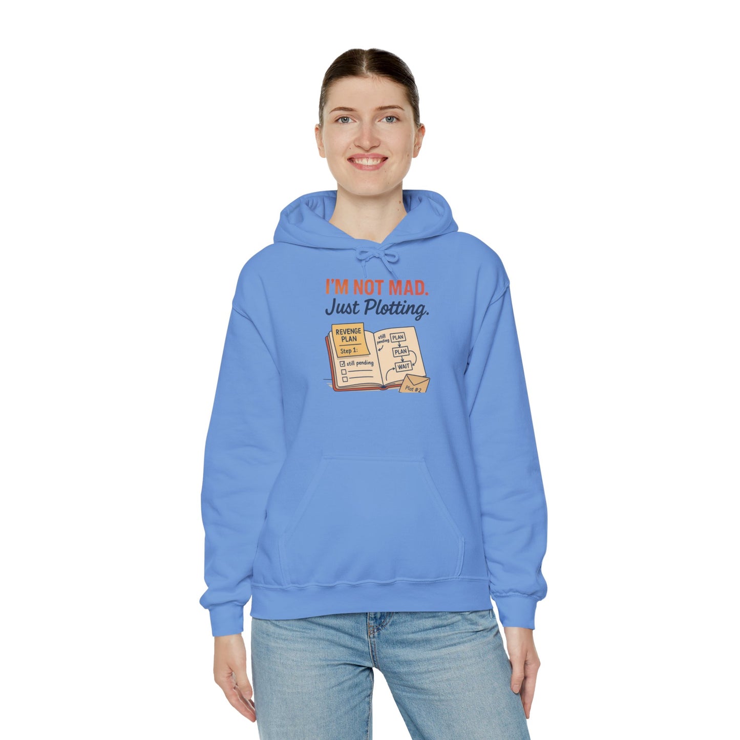 Sarcastic Womens Hoodie, Im Not Mad Just Plotting, Funny Passive Aggressive Sweatshirt Gift, Plotting Humor Hooded Womens Sweatshirt