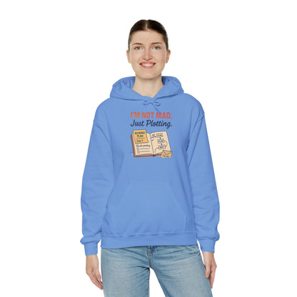 Sarcastic Womens Hoodie, Im Not Mad Just Plotting, Funny Passive Aggressive Sweatshirt Gift, Plotting Humor Hooded Womens Sweatshirt