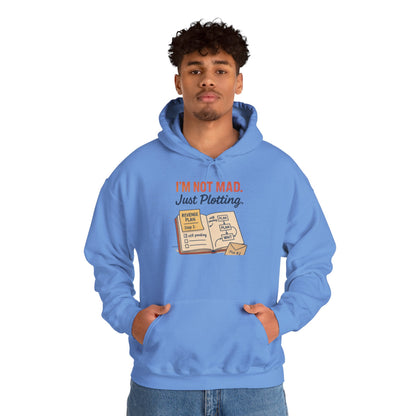 Funny Revenge Hoodie for Men, I'm Not Mad Just Plotting, Passive Aggressive Humor Sweatshirt, Funny Planning Hoodie