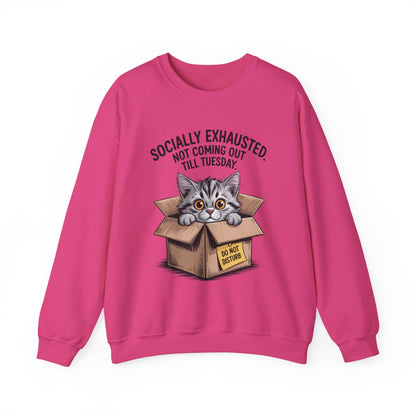 Socially Exhausted Cat Sweatshirt, Funny Cat Crewneck, Gift for Cat Lovers, Cozy Unisex Pullover, Weekend Comfort Apparel