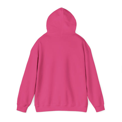 Shhh... No One Cares Hoodie, Funny Sweatshirt, Womens Pullover, Casual Wear, Gift for Friends, Cozy Outfit