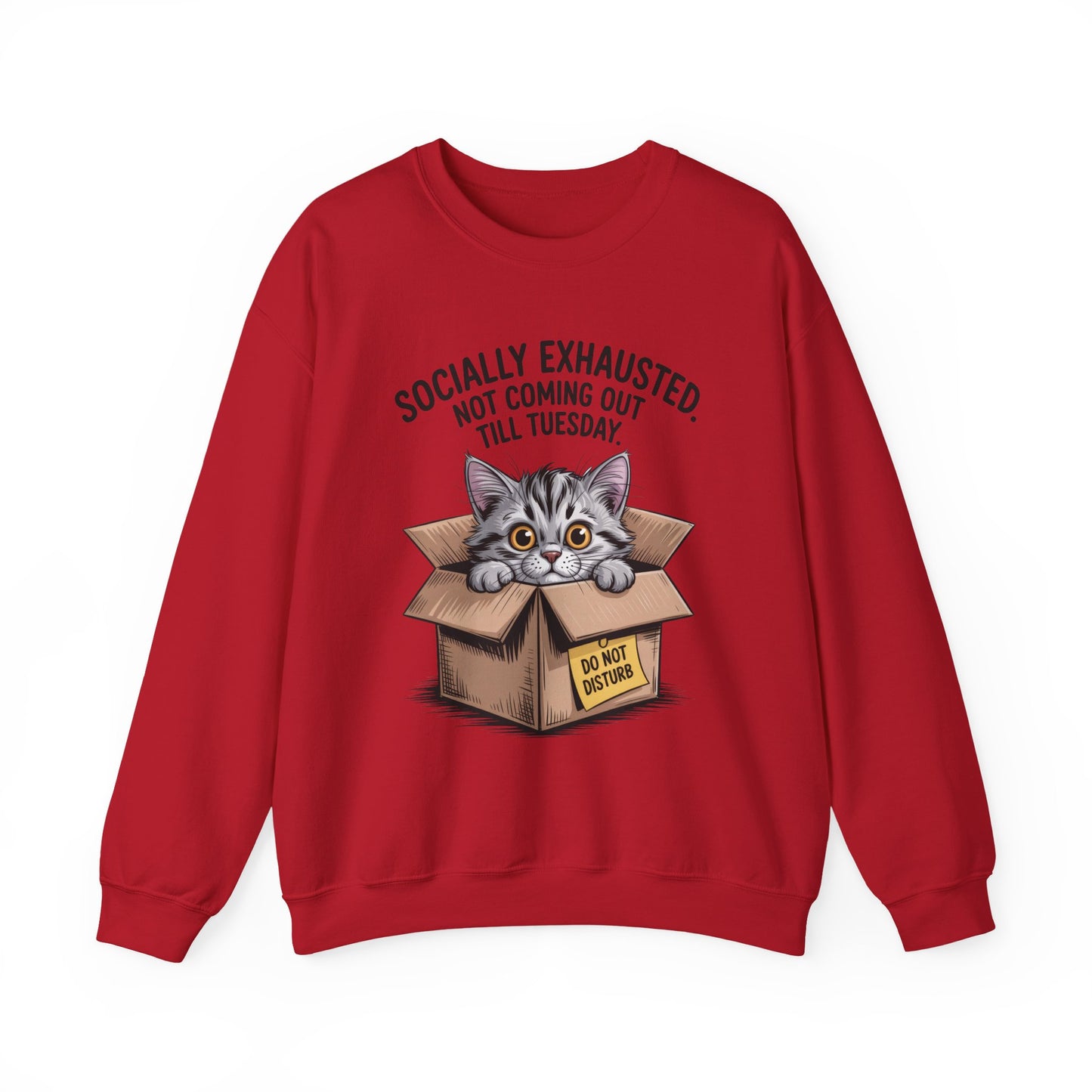 Socially Exhausted Cat Sweatshirt, Funny Cat Crewneck, Gift for Cat Lovers, Cozy Unisex Pullover, Weekend Comfort Apparel