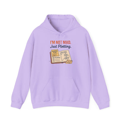 Sarcastic Womens Hoodie, Im Not Mad Just Plotting, Funny Passive Aggressive Sweatshirt Gift, Plotting Humor Hooded Womens Sweatshirt