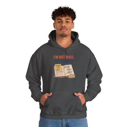 Funny Revenge Hoodie for Men, I'm Not Mad Just Plotting, Passive Aggressive Humor Sweatshirt, Funny Planning Hoodie