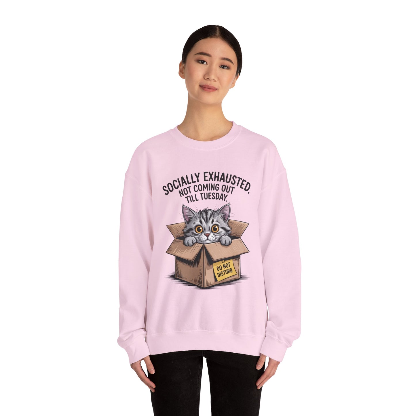 Socially Exhausted Cat Sweatshirt, Funny Cat Crewneck, Gift for Cat Lovers, Cozy Unisex Pullover, Weekend Comfort Apparel
