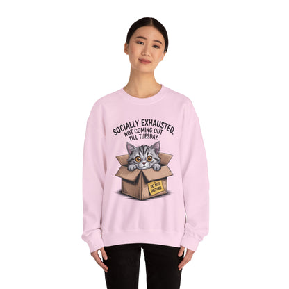 Socially Exhausted Cat Sweatshirt, Funny Cat Crewneck, Gift for Cat Lovers, Cozy Unisex Pullover, Weekend Comfort Apparel