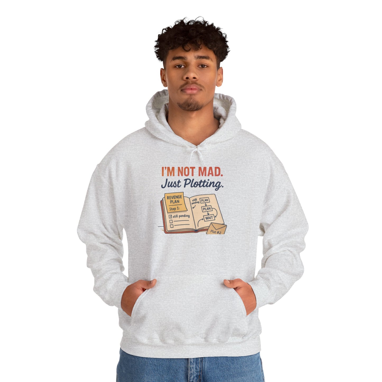 Funny Revenge Hoodie for Men, I'm Not Mad Just Plotting, Passive Aggressive Humor Sweatshirt, Funny Planning Hoodie