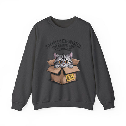 Socially Exhausted Cat Sweatshirt, Funny Cat Crewneck, Gift for Cat Lovers, Cozy Unisex Pullover, Weekend Comfort Apparel