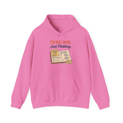 Sarcastic Womens Hoodie, Im Not Mad Just Plotting, Funny Passive Aggressive Sweatshirt Gift, Plotting Humor Hooded Womens Sweatshirt
