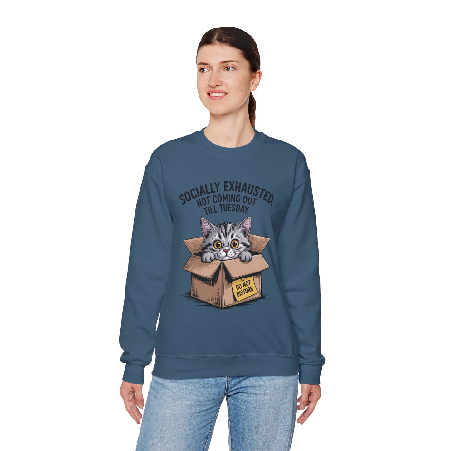 Socially Exhausted Cat Sweatshirt, Funny Cat Crewneck, Gift for Cat Lovers, Cozy Unisex Pullover, Weekend Comfort Apparel