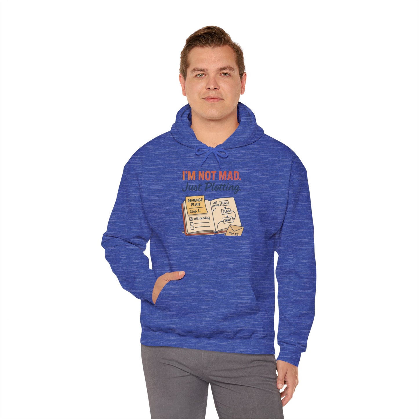 Funny Revenge Hoodie for Men, I'm Not Mad Just Plotting, Passive Aggressive Humor Sweatshirt, Funny Planning Hoodie