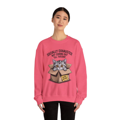 Socially Exhausted Cat Sweatshirt, Funny Cat Crewneck, Gift for Cat Lovers, Cozy Unisex Pullover, Weekend Comfort Apparel
