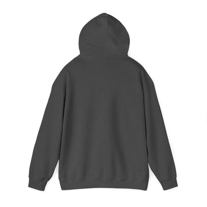 Shhh... No One Cares Hoodie, Funny Sweatshirt, Womens Pullover, Casual Wear, Gift for Friends, Cozy Outfit