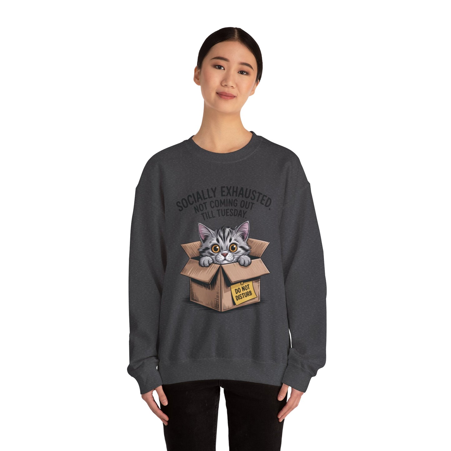 Socially Exhausted Cat Sweatshirt, Funny Cat Crewneck, Gift for Cat Lovers, Cozy Unisex Pullover, Weekend Comfort Apparel