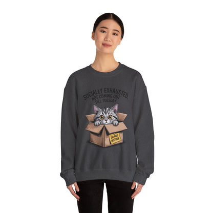 Socially Exhausted Cat Sweatshirt, Funny Cat Crewneck, Gift for Cat Lovers, Cozy Unisex Pullover, Weekend Comfort Apparel