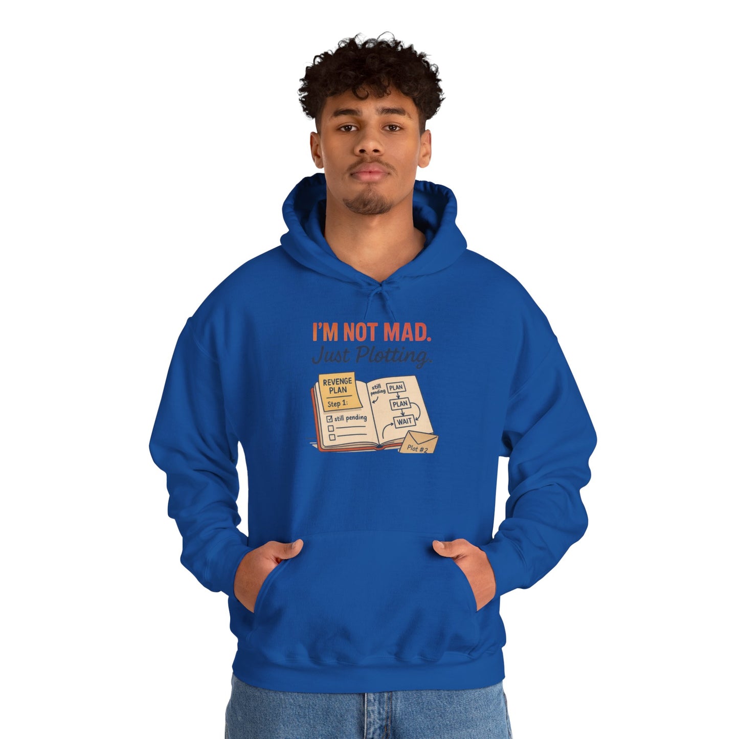 Funny Revenge Hoodie for Men, I'm Not Mad Just Plotting, Passive Aggressive Humor Sweatshirt, Funny Planning Hoodie