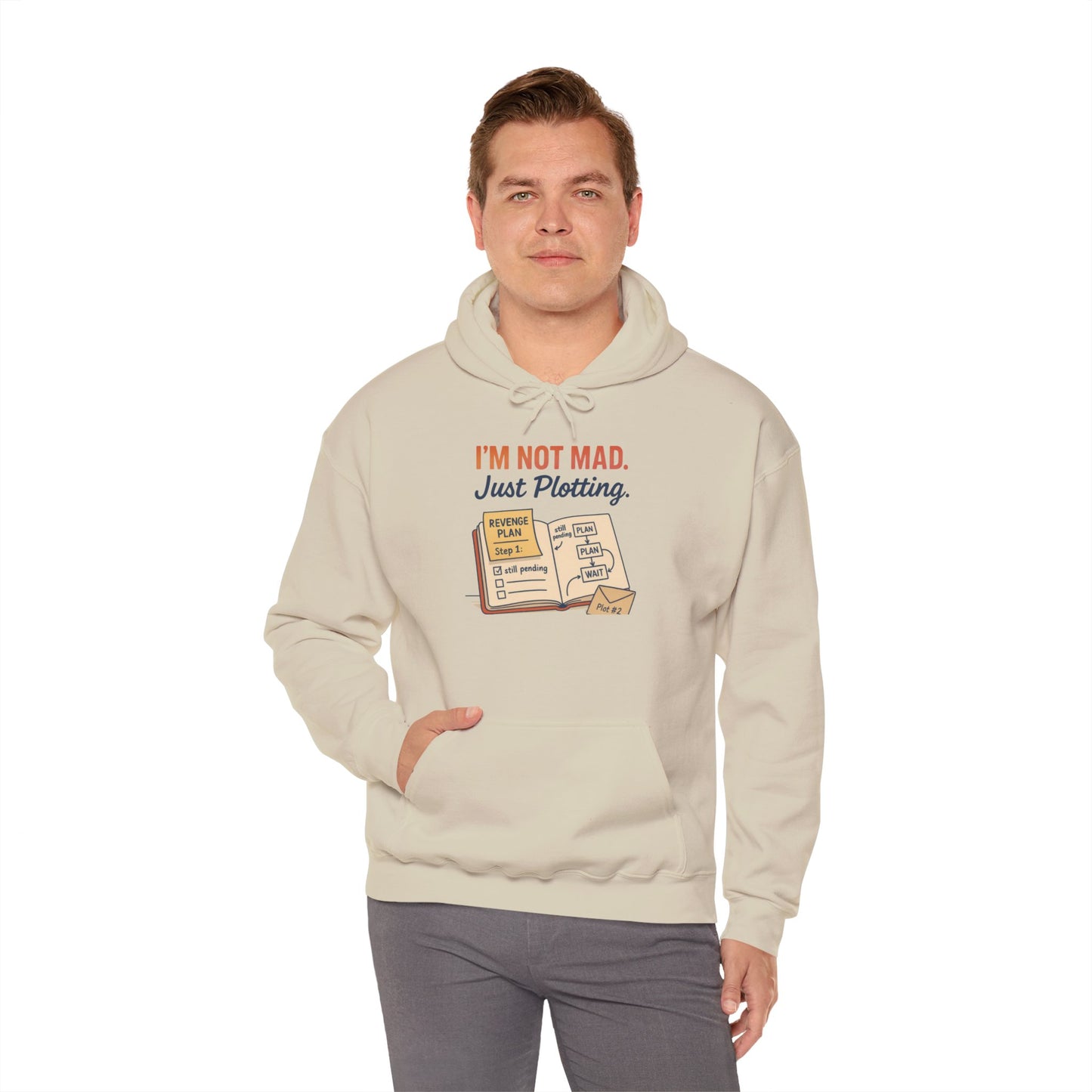 Funny Revenge Hoodie for Men, I'm Not Mad Just Plotting, Passive Aggressive Humor Sweatshirt, Funny Planning Hoodie