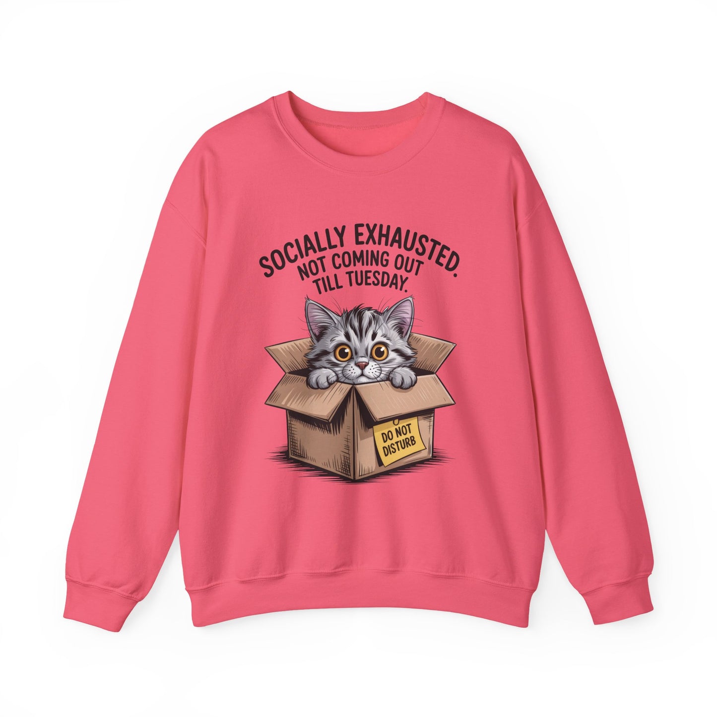 Socially Exhausted Cat Sweatshirt, Funny Cat Crewneck, Gift for Cat Lovers, Cozy Unisex Pullover, Weekend Comfort Apparel