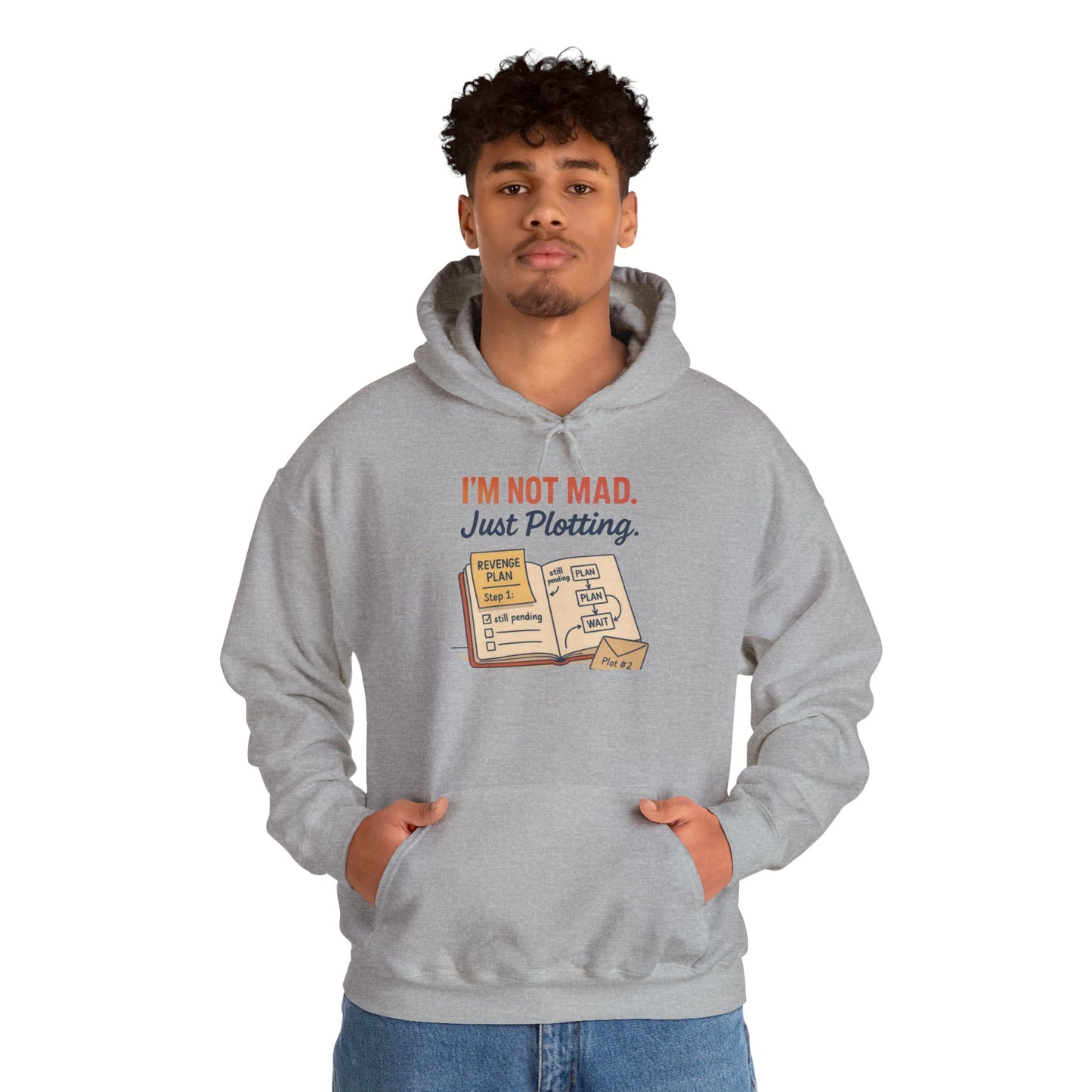 Funny Revenge Hoodie for Men, I'm Not Mad Just Plotting, Passive Aggressive Humor Sweatshirt, Funny Planning Hoodie