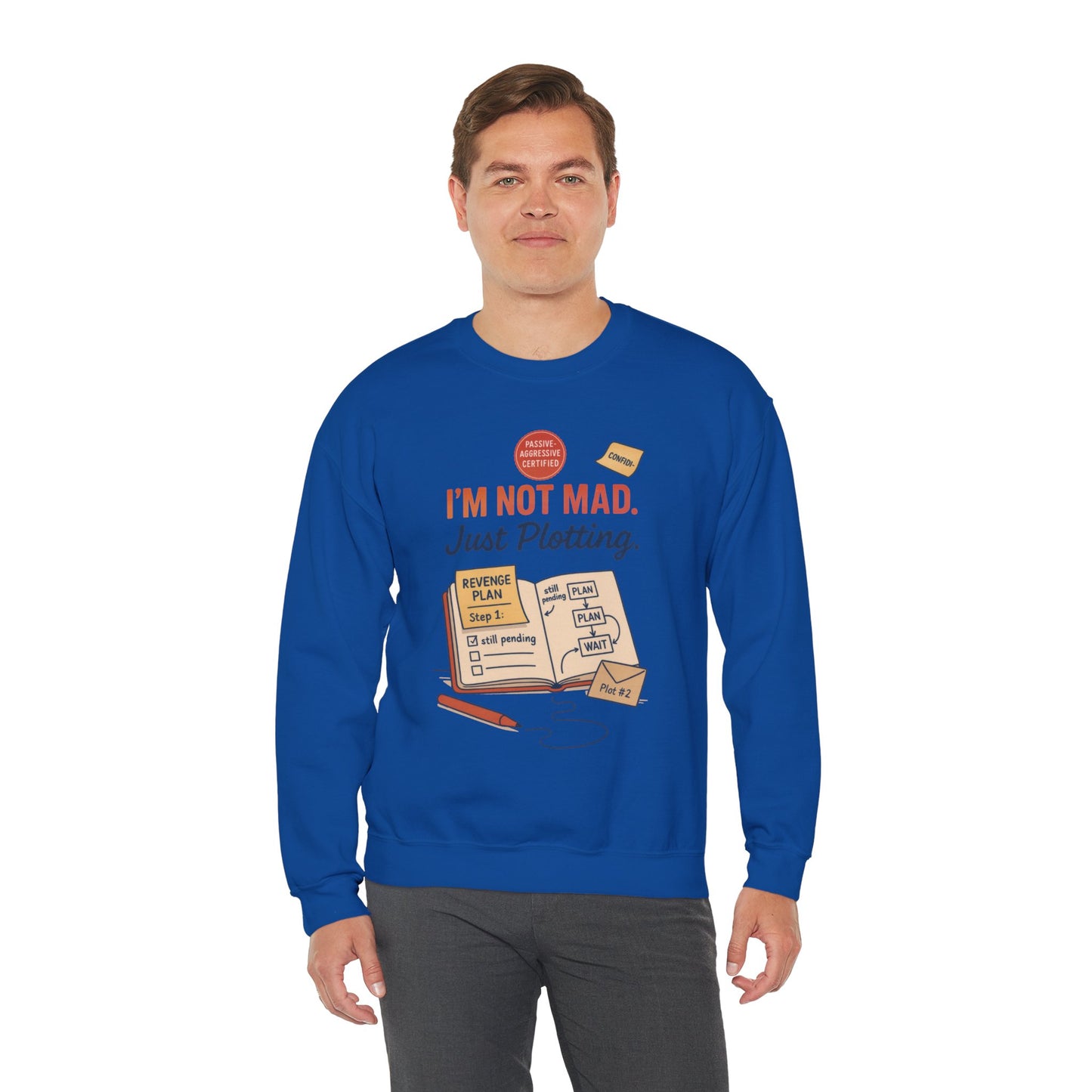 Funny Mens Revenge Sweatshirt, Im Not Mad Just Plotting, Passive Aggressive Sarcastic Crewneck for Him