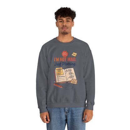 Funny Mens Revenge Sweatshirt, Im Not Mad Just Plotting, Passive Aggressive Sarcastic Crewneck for Him